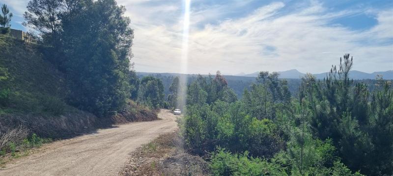 0 Bedroom Property for Sale in Friemersheim Western Cape